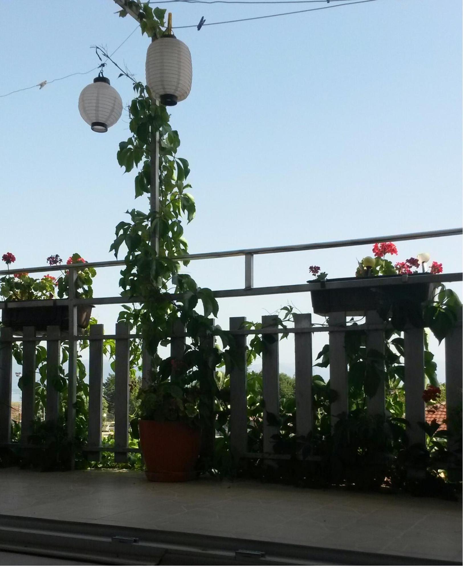 Marko Apartments Struga Room photo